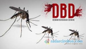 Kasus Penyakit DBD di Indramayu Turun, Kadinkes Ajak Lakukan PSN