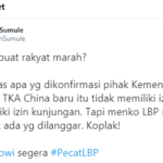 Desak Jokowi Ikuti Langkah Duterte Pecat Pejabat Dan Petugas Yang Masukkan Pekerja China, Iwan Sumule: LBP mau Buat Rakyat Marah?
