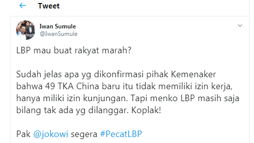 Desak Jokowi Ikuti Langkah Duterte Pecat Pejabat Dan Petugas Yang Masukkan Pekerja China, Iwan Sumule: LBP mau Buat Rakyat Marah?