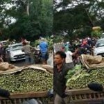 Heboh Viral Pedagang di Malang Buang Sayur, Ini Klarifikasi Dirjen Hortikultura