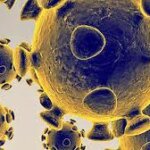 Hasil Riset AS: Pandemi Corona Diprediksi Menyebar hingga 2 Tahun