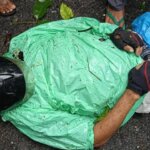 Pengendara Motor Kenakan Jas Hujan Warna Hijau Helm Merah Tertimpa Pohon Asam Tumbang, Tewas