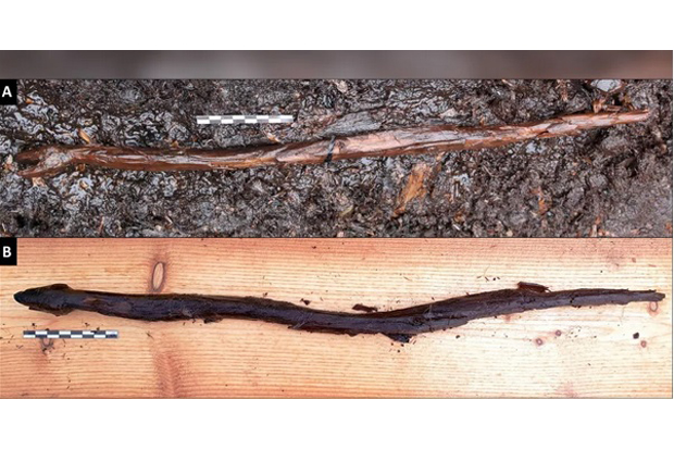 tongkat ular milik dukun dari 4400 tahun lalu ditemukan di finlandia gmc